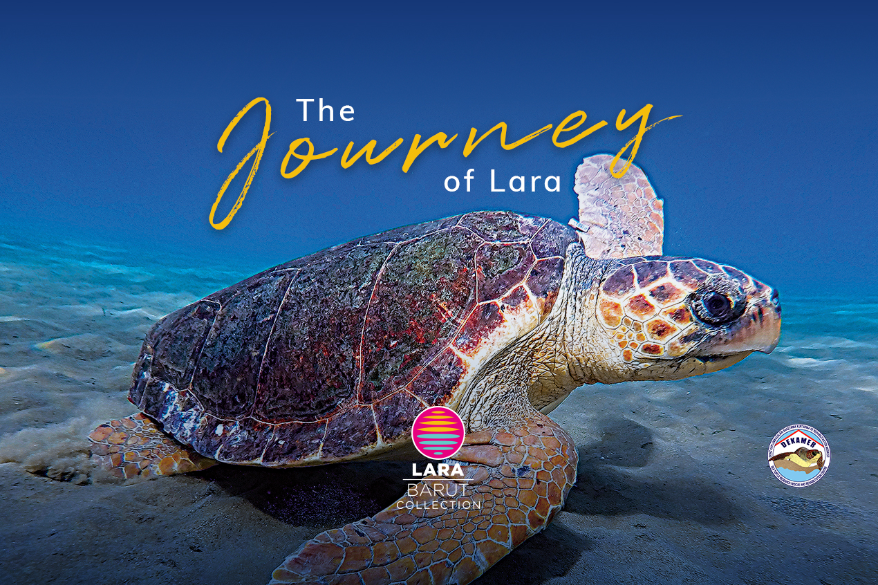 Do You Want To Know The Story Of Lara?