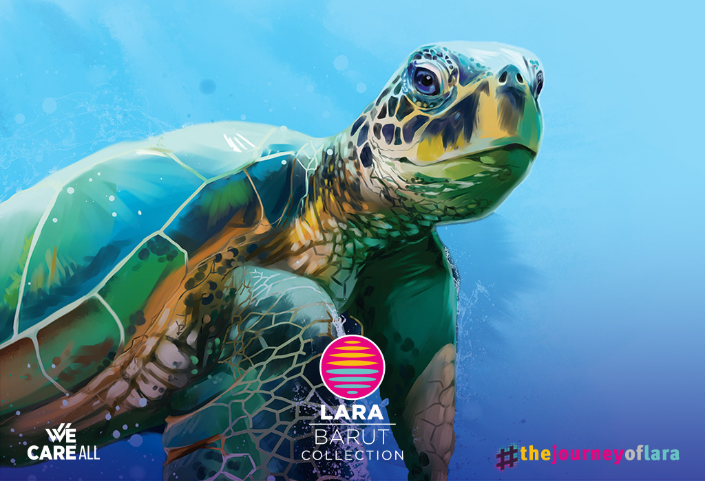 The Caretta Caretta Lara Has Been Travelling The Mediterranean Sea For A Year.