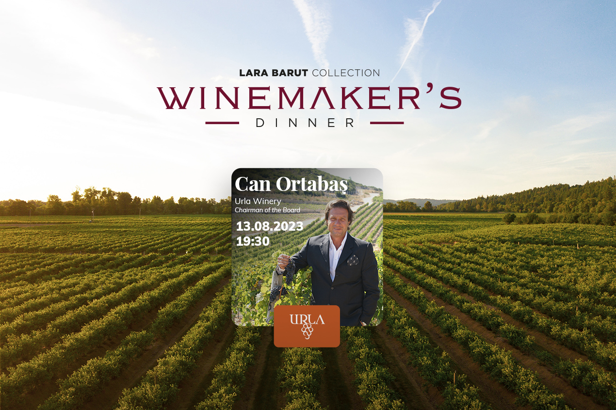 Winemaker’s Dinner Continues With Urla Vineyards Meeting